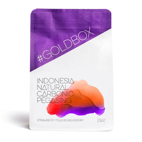 Indonesia Team Pegasing Carbonic